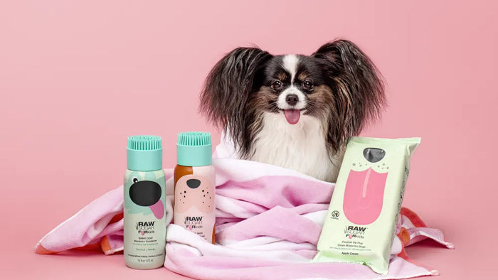 Pet Supplies and Care: Everything You Need for Your Furry Friends at All Trade Products