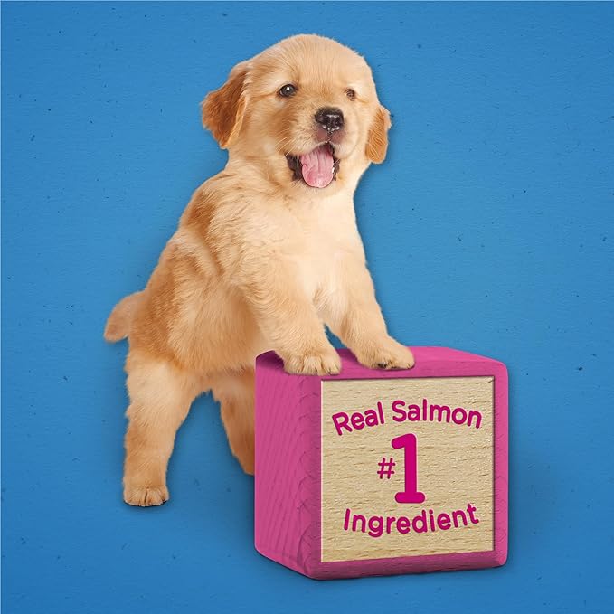 Purina Puppy Chow Training Treats, Healthy Start Salmon Treats - 24 oz. Pouch